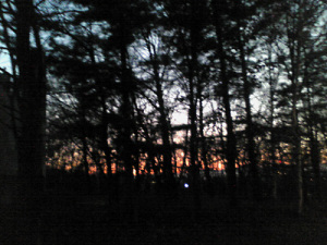 帯広美術館前の坂から見た、雑木林越しの夕日